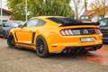 Ford Mustang 5.0 PREMIUM GT/SHELBY FC.LIFT VOLLLL!!! Orange - thumbnail 6