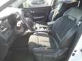 Renault Kadjar Intens TCe 140 Weiß - thumbnail 5