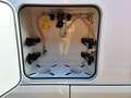 Morelo Palace 88LB*Retarder/Wide-Axle/Active-Air/Luft* Weiß - thumbnail 29