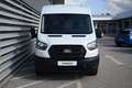 Ford Transit Transit 350 Trend L2H2 350 ON42996 FB Weiß - thumbnail 2