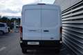 Ford Transit Transit 350 Trend L2H2 350 ON42996 FB Weiß - thumbnail 5