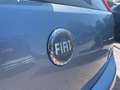 Fiat Punto Punto 1.3 Multijet 16V 5 porte Active - thumbnail 8