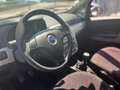 Fiat Punto Punto 1.3 Multijet 16V 5 porte Active - thumbnail 10