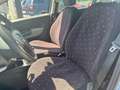Fiat Punto Punto 1.3 Multijet 16V 5 porte Active - thumbnail 11