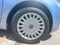 Fiat Punto Punto 1.3 Multijet 16V 5 porte Active - thumbnail 5