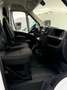 Opel Movano FURGÓN BASE L3H2 3.5T 2.2 BLUEHDI 103KW Blanco - thumbnail 24