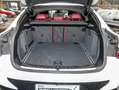BMW X4 xDrive20i M Sport RFK NAVI LED DAB Weiß - thumbnail 20