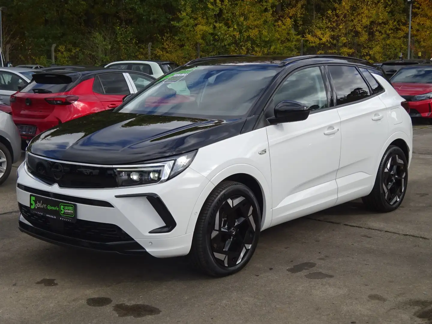 Opel Grandland 4x4 GSe 1.6 PHEV inkl. Big Deal! Blanc - 2