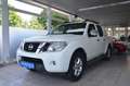 Nissan Navara Pickup Double Cab 4X4 *LEDER*AHK*2.HAND* Weiß - thumbnail 1