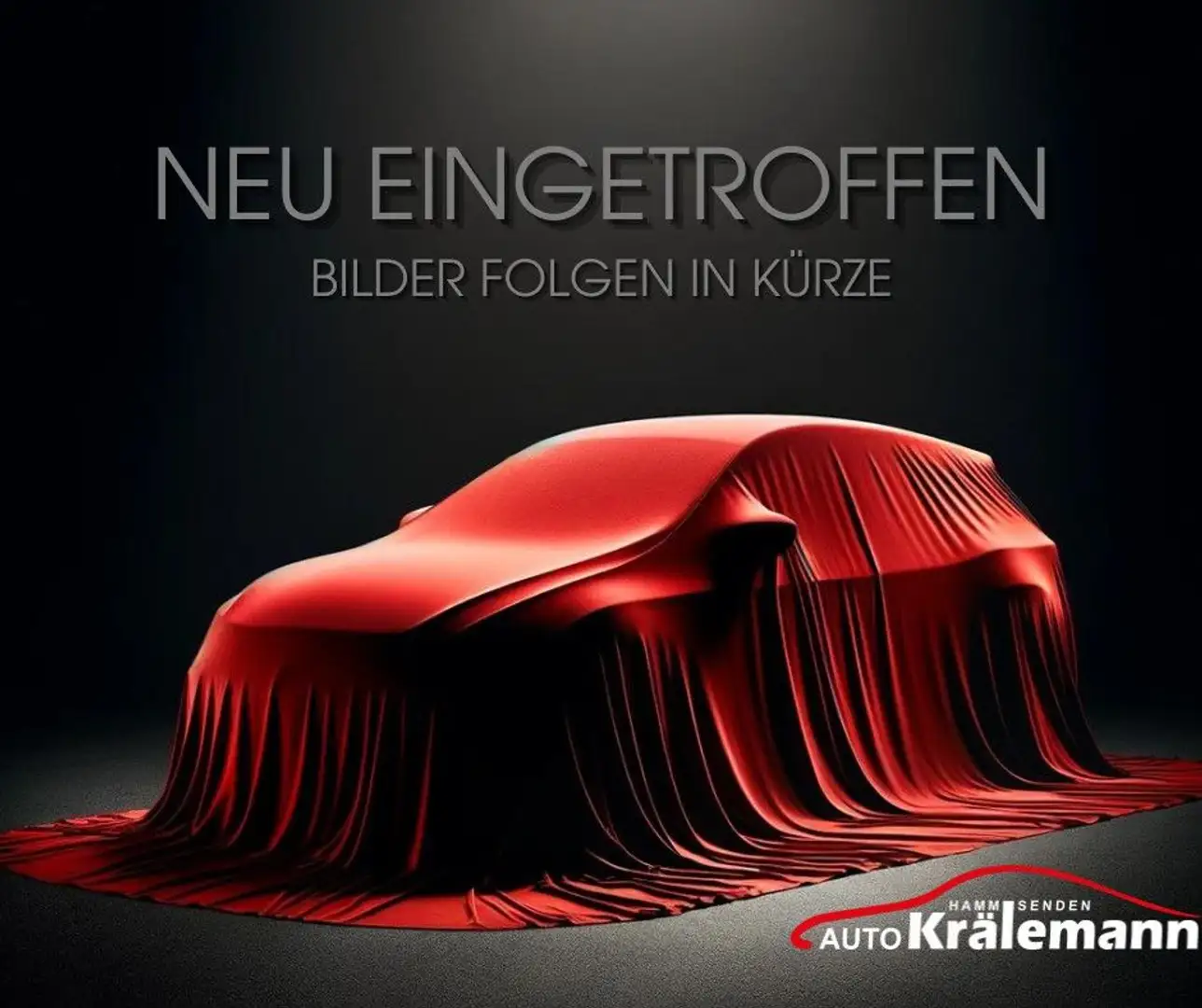 CUPRA Born 150 kW Zilver - 1