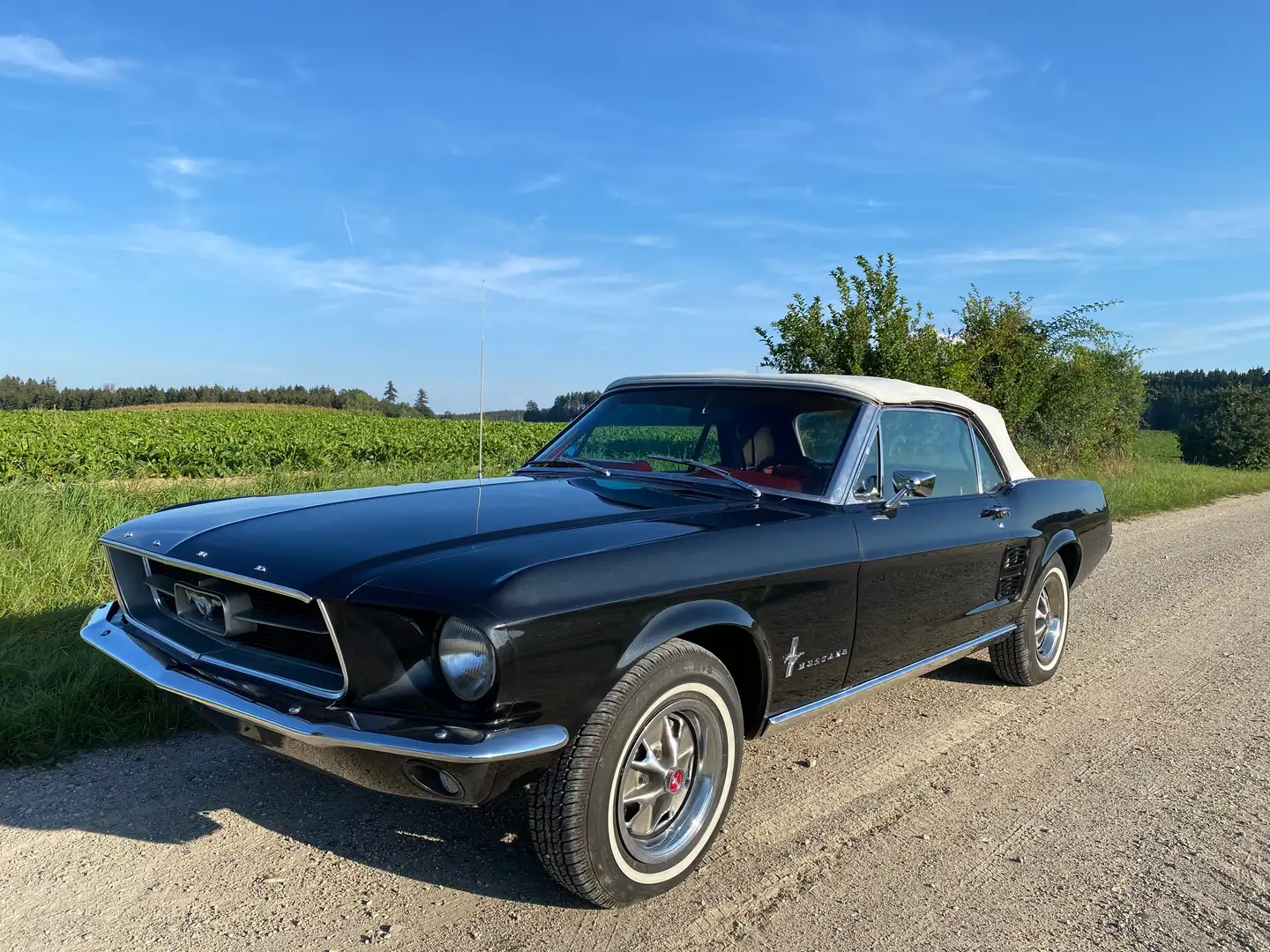 Ford Mustang V8 Cabrio, Automatik, TÜV & H Noir - 1