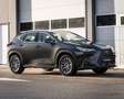 Lexus NX 350h Business Line I BTW I Adaptive Cruise Control I Tr Zwart - thumbnail 15