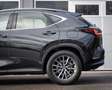 Lexus NX 350h Business Line I BTW I Adaptive Cruise Control I Tr Zwart - thumbnail 25