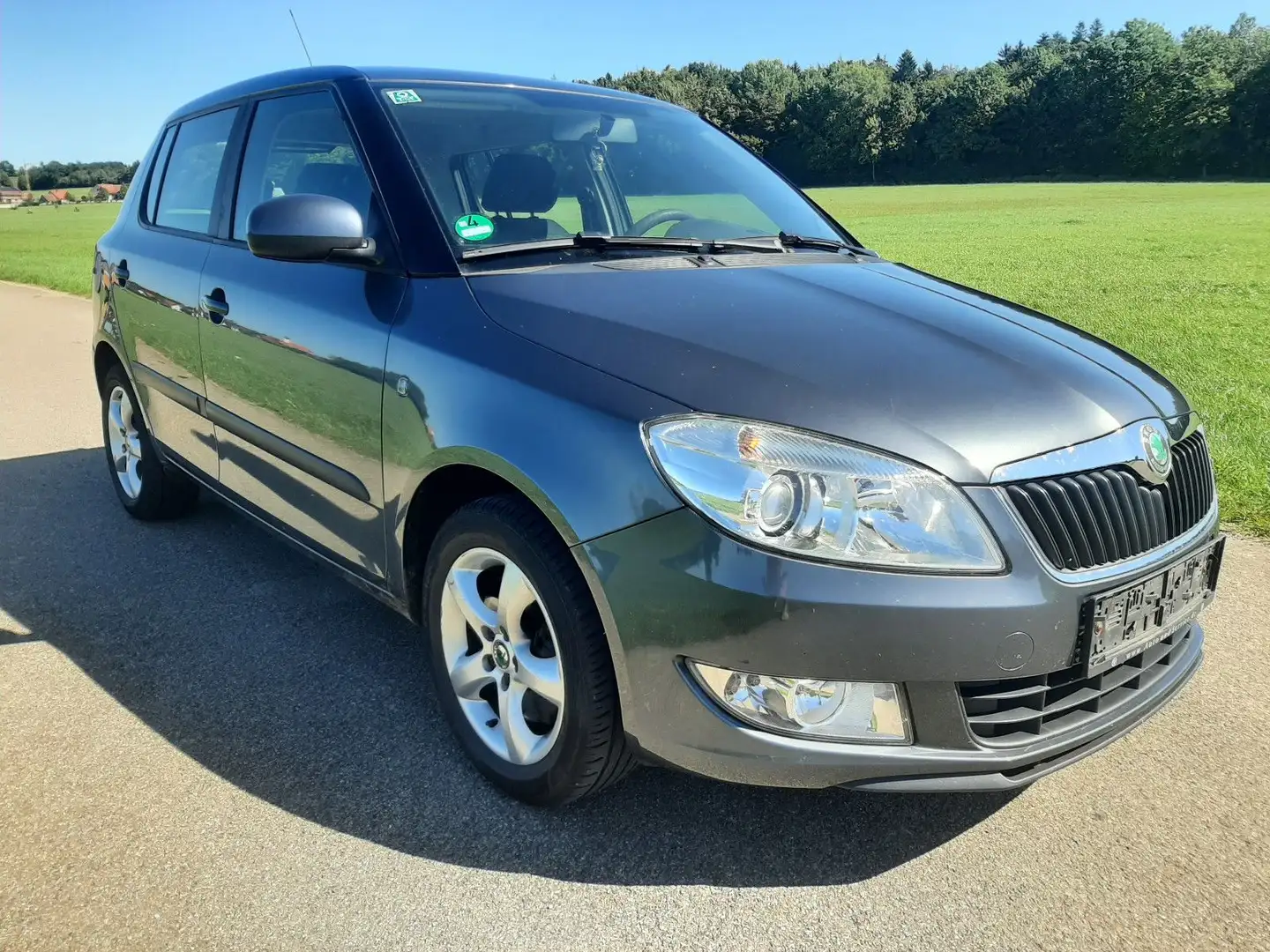 Skoda Fabia 1.2 TSI Style Edition Klima SHZ Tempo PDC Grau - 1