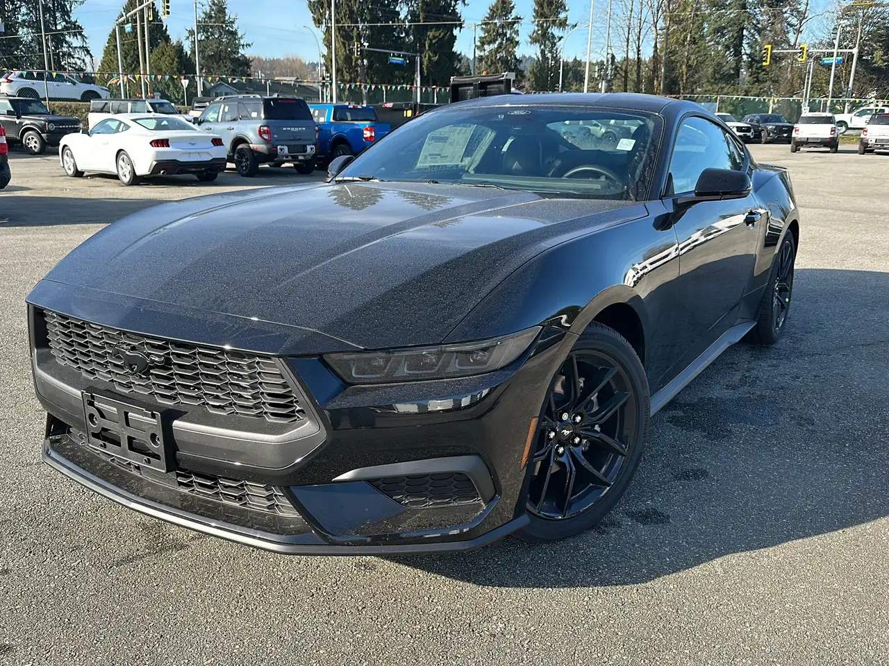 Ford Mustang fotografie Ford Mustang