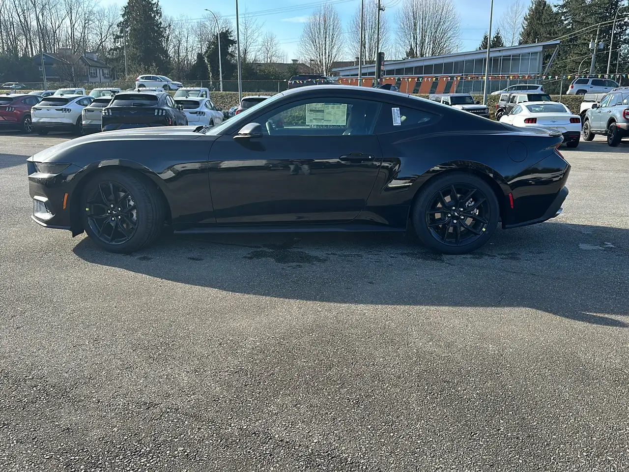 Ford Mustang fotografie Ford Mustang