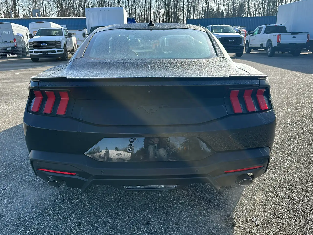 Ford Mustang fotografie Ford Mustang