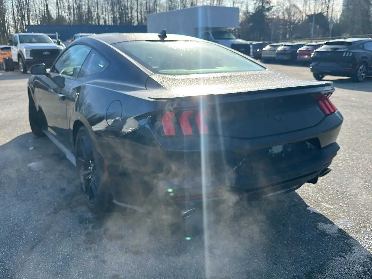 Ford Mustang fotografie Ford Mustang