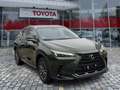 Lexus NX 350h Executive Line wenig KM*Top Gebrauchter Zöld - thumbnail 5