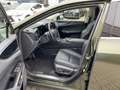 Lexus NX 350h Executive Line wenig KM*Top Gebrauchter Zöld - thumbnail 8