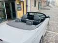 BMW 325 325i Cabrio Msport White - thumbnail 13