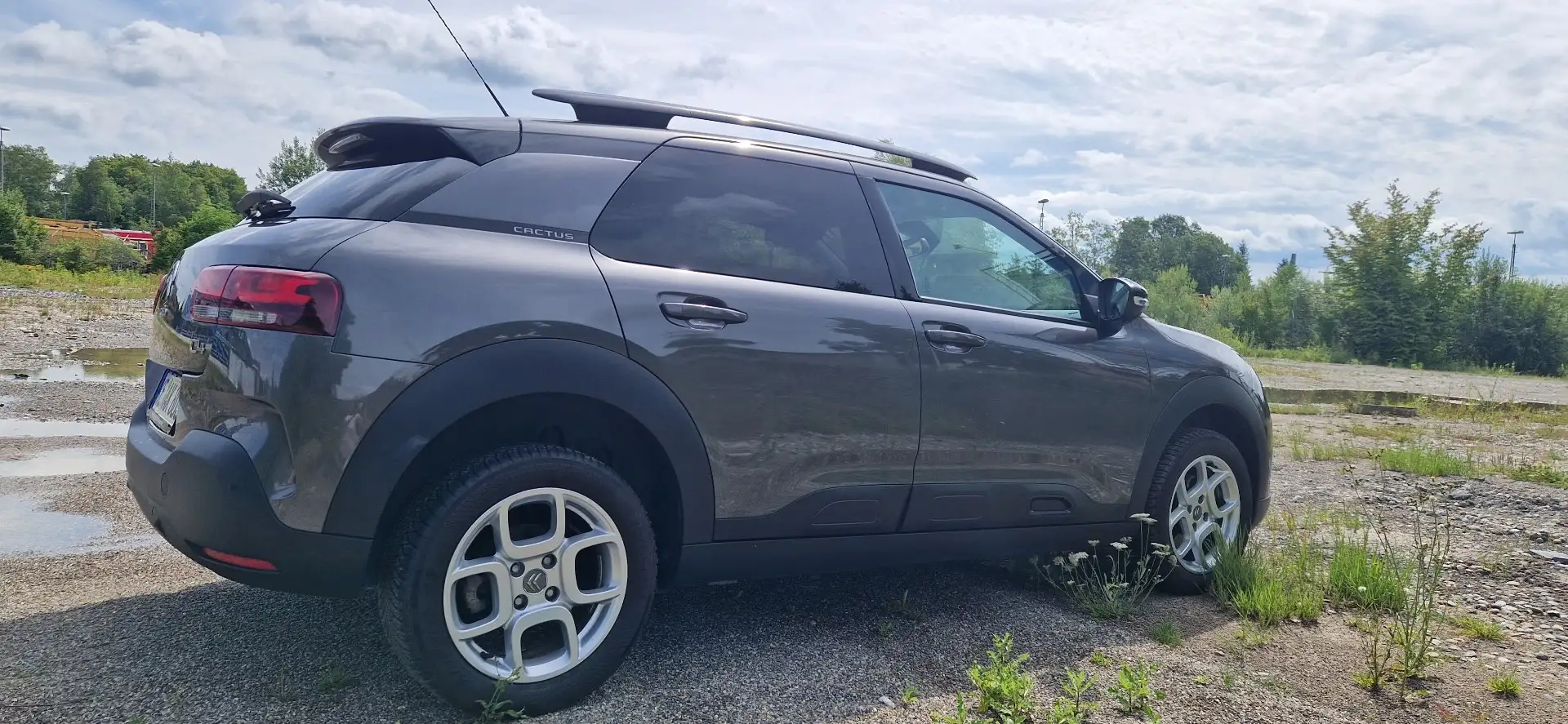 Citroen C4 Cactus PureTech 130 Stop&Start EAT6 Shine Grau - 1