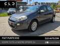 Fiat Punto Evo Punto Evo 5p 1.4 Active 77cv Grau - thumbnail 1