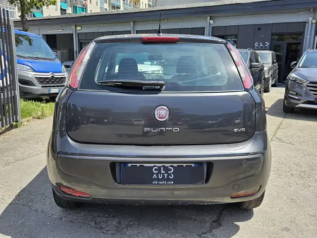 Fiat Punto Evo view 4