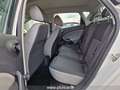 SEAT Ibiza 1.4TDI 75cv Business Bluetooth Neopatentati EURO6 Blanc - thumbnail 5
