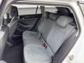 Volkswagen Passat Variant 1.5 eTSI DSG BUSINESS*LED*AHK*KAM Weiß - thumbnail 15