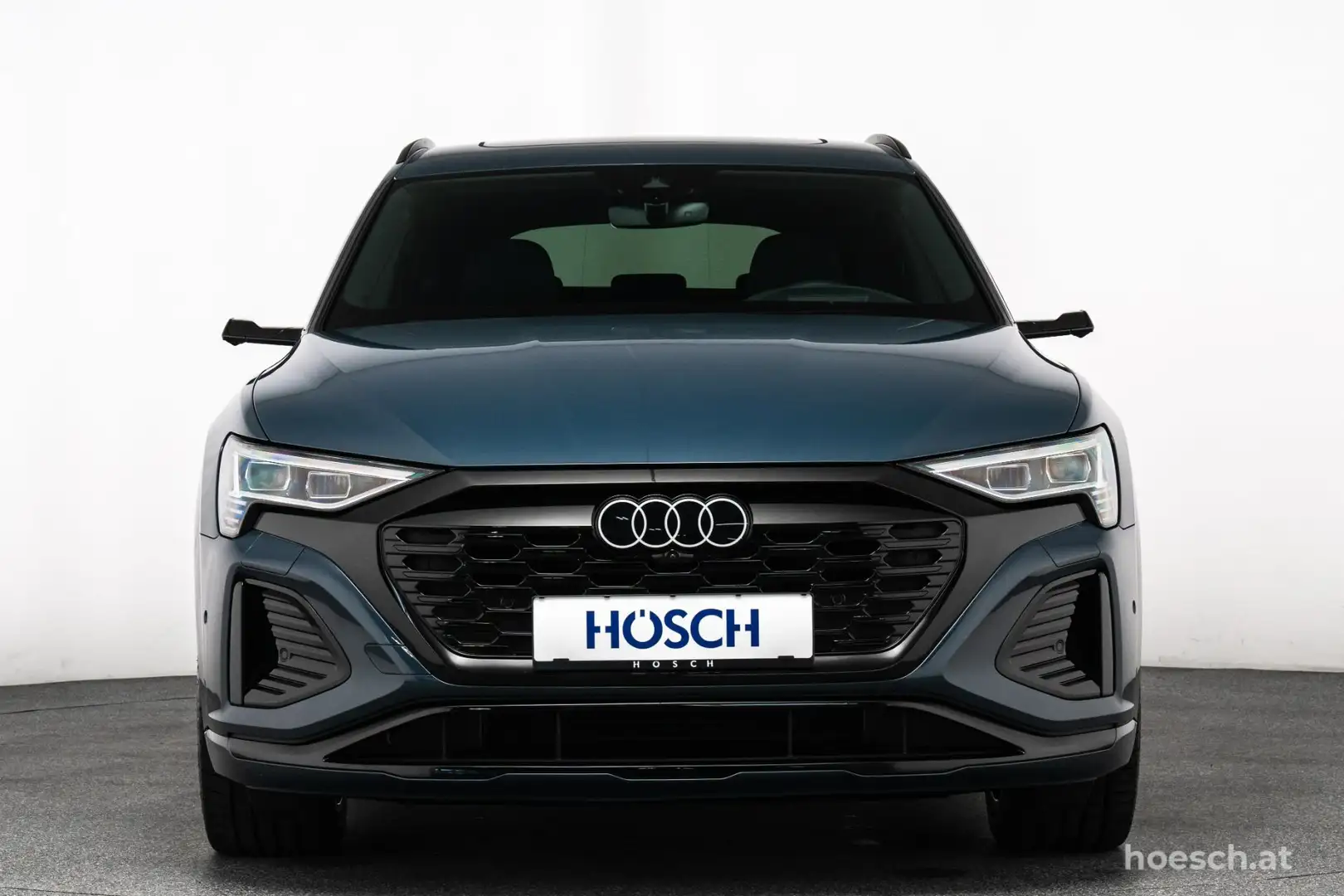 Audi Q8 e-tron 55 SB quattro S Line TRAUMAUSSTATTUNG -48% Blau - 2