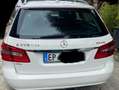 Mercedes-Benz E 250 E SW 250 cdi be Executive auto 7m Bianco - thumbnail 7