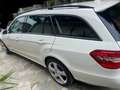 Mercedes-Benz E 250 E SW 250 cdi be Executive auto 7m Bianco - thumbnail 4
