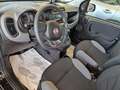 Fiat Panda Panda 1.0 Firefly Hybrid City Life 70CV S&S Schwarz - thumbnail 9