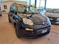 Fiat Panda Panda 1.0 Firefly Hybrid City Life 70CV S&S Schwarz - thumbnail 1