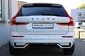 Volvo XC60 T8 Plug-in hybrid AWD Ultra Dark | Crystal White | Blanc - thumbnail 6
