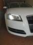 Audi A3 8P 1.4 Ambiente TFSI S-Tronic 7 rapporti Blanc - thumbnail 16