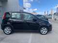 Fiat Panda Panda 1.0 firefly hybrid s Nero - thumbnail 4