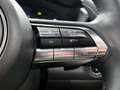 Mazda MX-30 e-SkyActiv 145 Luxury 36 kWh | Zonnedak | 360 Came Grigio - thumbnail 15