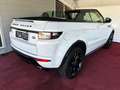 Land Rover Range Rover Evoque Cabrio Vollausstattung/9Gang Aut/1.Besitz/GARANTIE - thumbnail 8