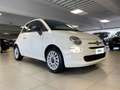 Fiat 500 1.0 70cv Ibrido White - thumbnail 5