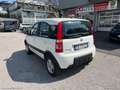 Fiat Panda 1.3 MJT S&S 4x4 Bianco - thumbnail 7
