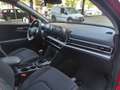 Kia Sportage Business 1.6 T-GDI 48V MHEV Rosso - thumbnail 10