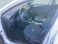 Ford Focus Turnier 1.0 EcoBoost Hybrid ACTIVE STYLE Weiß - thumbnail 5