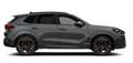CUPRA Terramar VZ 2.0 TSI 265 PS DSG 4Drive Grau - thumbnail 2