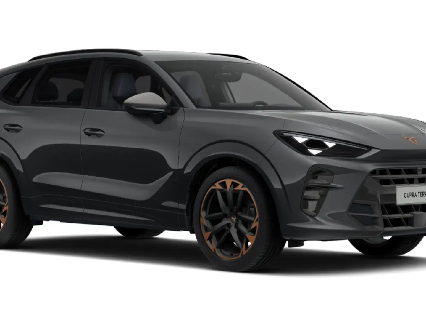CUPRA Terramar VZ 2.0 TSI 265 PS DSG 4Drive Grau - 1