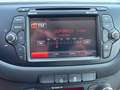 Kia Ceed / cee'd cee'd 1,4 MPI CVVT Cool Österreich Paket Schwarz - thumbnail 20