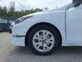 Kia Ceed SW / cee'd SW ceed SW 1,0 T-GDI GPF ISG Prestige Grau - thumbnail 14