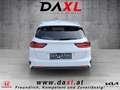Kia Ceed SW / cee'd SW ceed SW 1,0 T-GDI GPF ISG Prestige Grau - thumbnail 5