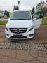 Mercedes-Benz Marco Polo 220/250 d EDITION 4MATIC (447.813) Bílá - thumbnail 5